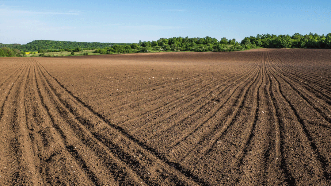 ũܻƪ£28ũܱվ仧ɽͬ